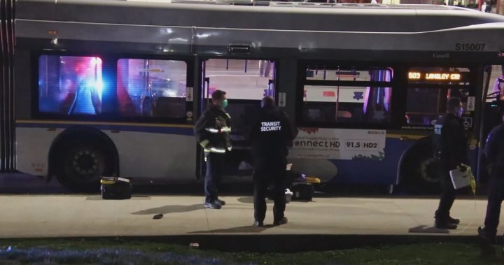 Bus passengers testify in murder trial over fatal B.C. transit stabbing – BC