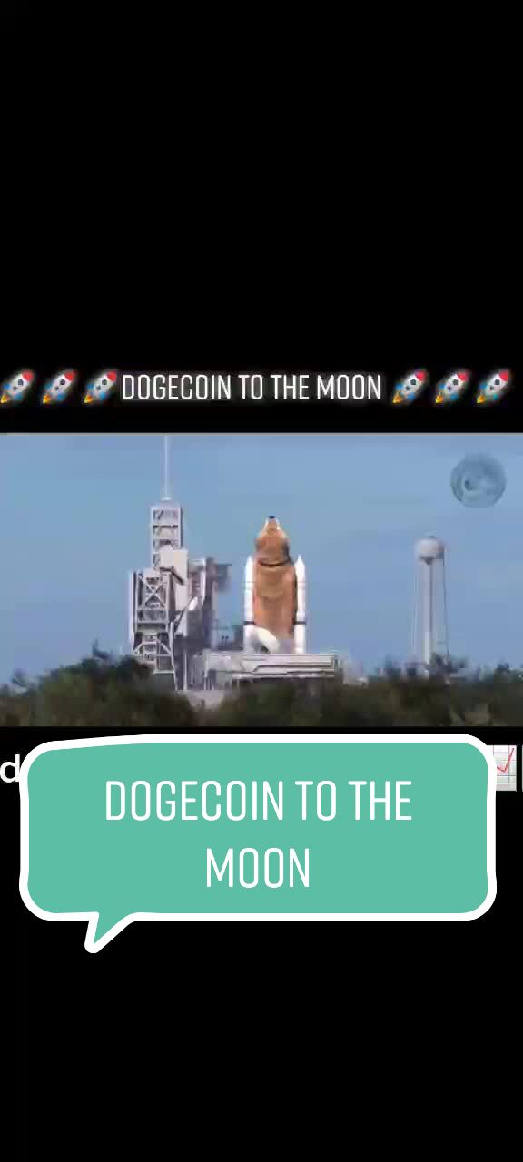 @dogcoinmemes dogecoin to the moon #dogecoin #dogecointothemoon #thedogefather #…