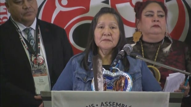 First Nations leaders demand national inquiry into ‘epidemic’ of deaths by police